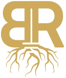 Black Root Recovery logo